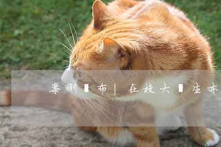 案例發布 | 在校大學生 亦可以簽訂勞動合同